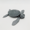 Flexy Turtle - Image 2
