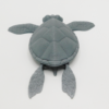 Flexy Turtle - Image 3