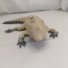 Flexy Bearded Dragon - Image 2